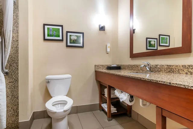 غرفة بسرير كينج مع أريكة لذوي الإعاقة، Comfort Suites Manhattan 2/2