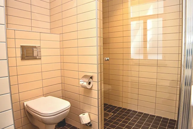 غرفة قياسية بسريرين منفصلين مع أريكة، Comfort Hotel Malmo 4/4