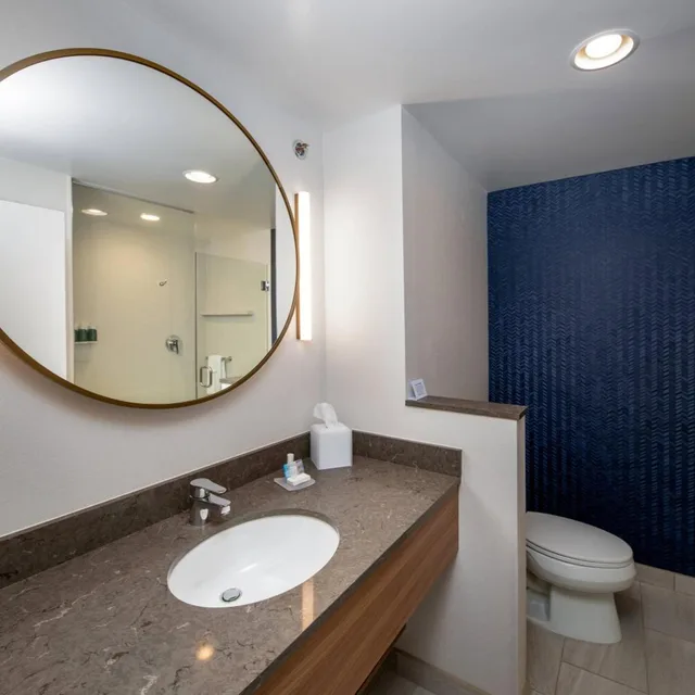 غرفة بسرير كينج، Fairfield Inn Suites Little Rock Airport 2/9
