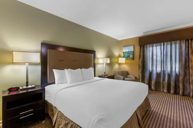 Signature, King Bed, Sofa, Royal Sun Inn & Suites 3/5