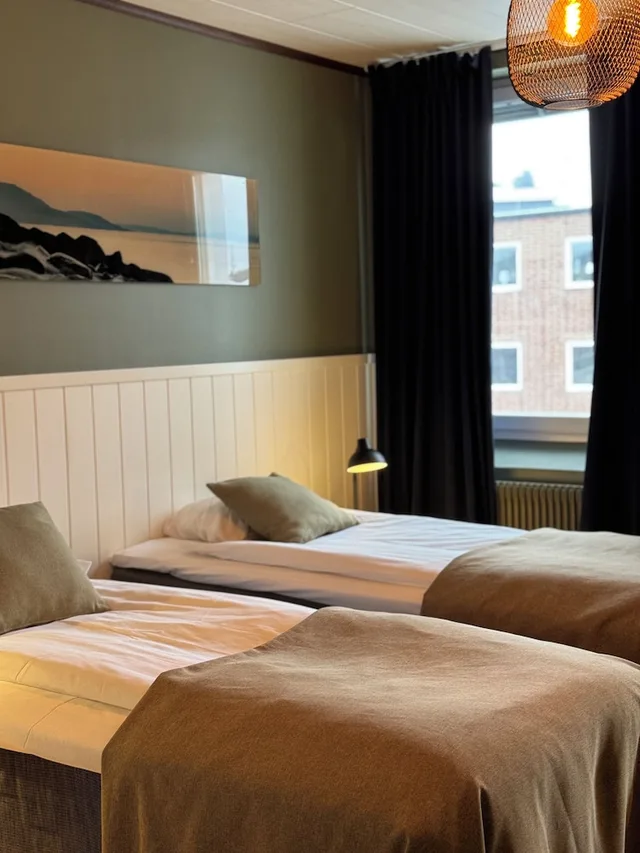Family, 1 Double and 1 Single Bed, 2 Murphy Beds، Strand City Hotell 1/6