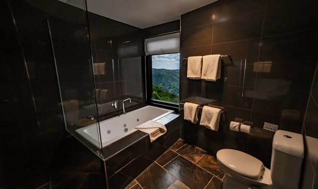 Sky, Lodge, Studio, King Bed, BINNA BURRA MOUNTAIN LODGE 7/7