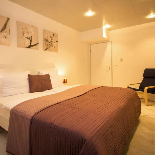 شقة، Aparthotel Villa Freisleben 1/2