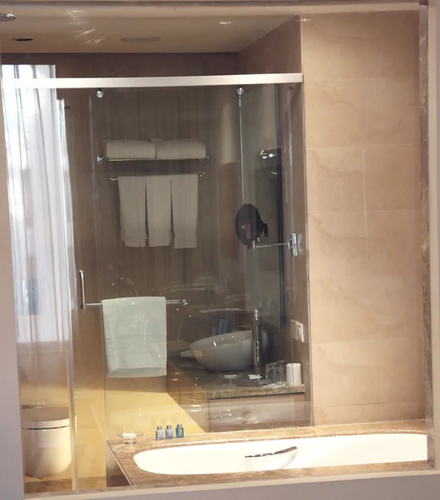 جناح بسرير كينج، Radisson Blu Hotel, New Delhi Dwarka 10/10