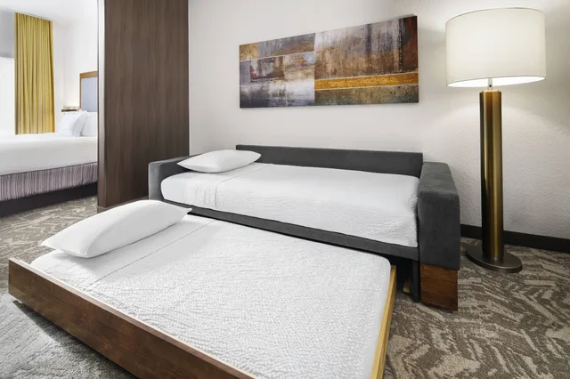 جناح استوديو بسريرين مزدوجين، Springhill Suites Scottsdale North 2/6
