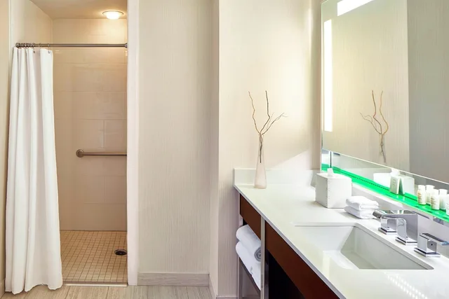 غرفة بسرير كينج لذوي الإعاقة، Renaissance Nashville Hotel 3/3