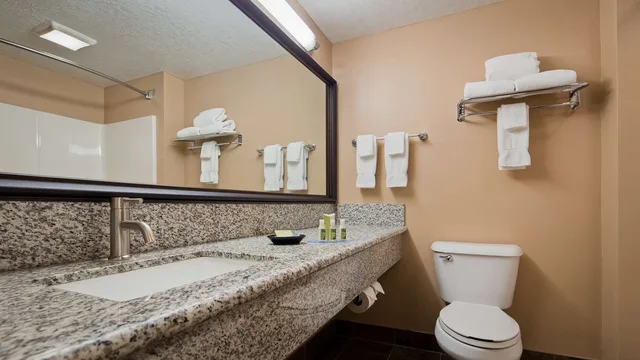 غرفة بسرير كينج مع أريكة، Best Western Plus Coldwater Hotel 3/3