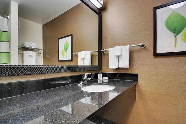 استوديو بسرير كينج مع أريكة لذوي الإعاقة، Fairfield Inn Suites By Marriott Ottawa Starved Rock Area 4/6