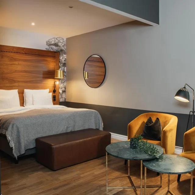 غرفة سوبيريور بسرير مزدوج، Home Hotel Temperance 7/10