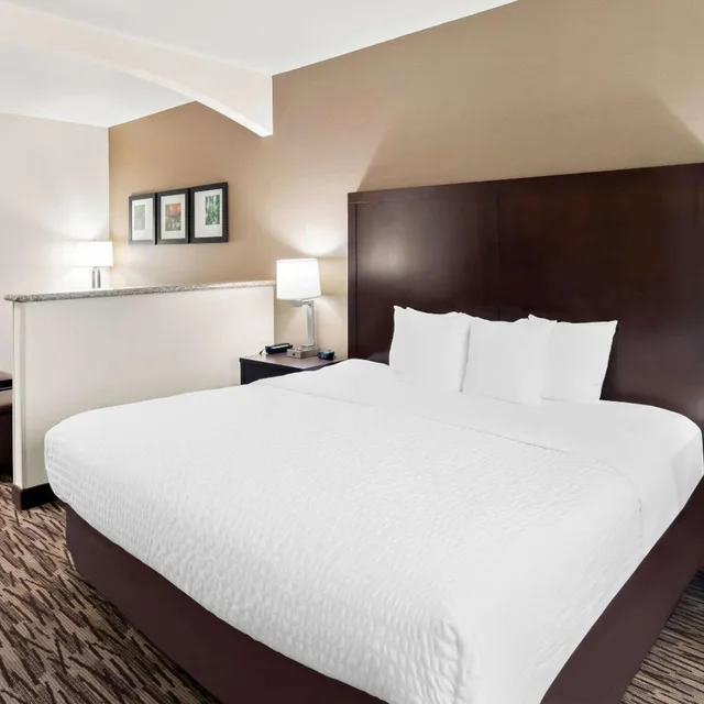 جناح بغرفة نوم واحدة مع أريكة، Comfort Suites Portland Airport 1/3