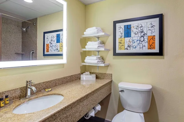 غرفة قياسية بسرير كينج مع أريكة، Best Western Plus North Shore Hotel 4/4