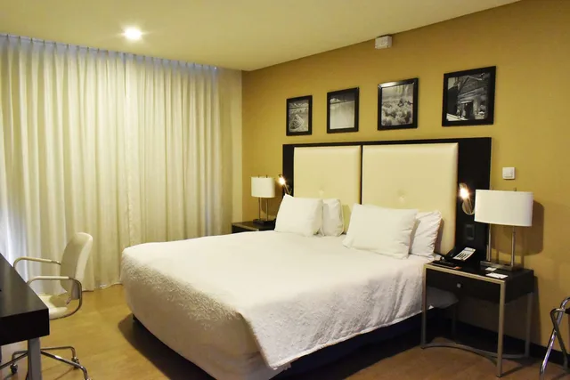 غرفة بانورامية بسرير كينج بإطلالة، Hampton By Hilton Santa Cruz Equipetrol 1/4