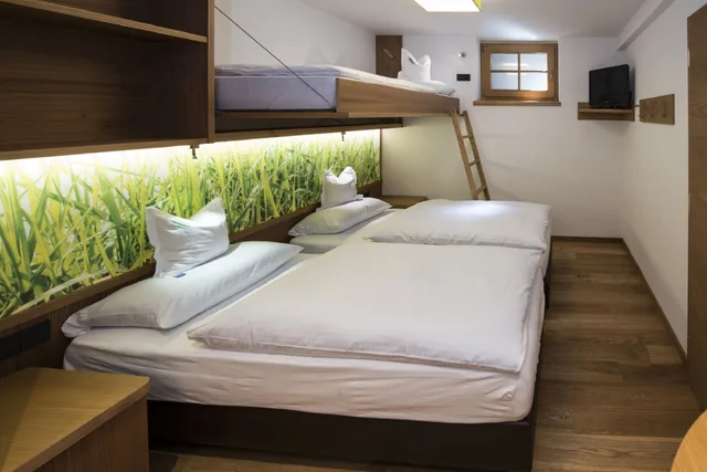 Family, Murphy Bed، Hotel Grien 2/8