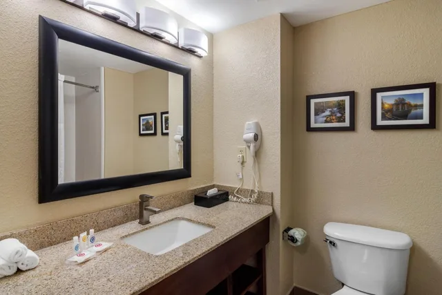 جناح تنفيذي بسرير كينج، Comfort Suites Woodstock - Atlanta North 4/6
