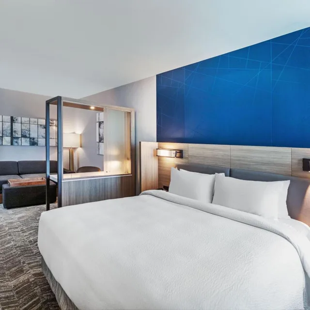 Suite, King Bed, Trundle Bed, Landscape View, Sofa، SpringHill Suites by Marriott Austin West/Lakeway 1/6