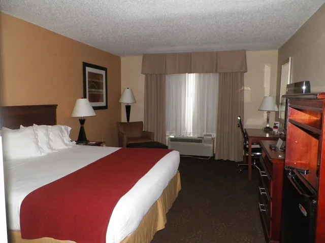 غرفة قياسية بسرير كينج لذوي الإعاقة، Holiday Inn Express Suites Forest 1/2