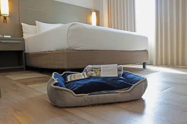 استوديو بسرير كينج، Residence Inn by Marriott Playa del Carmen 6/10