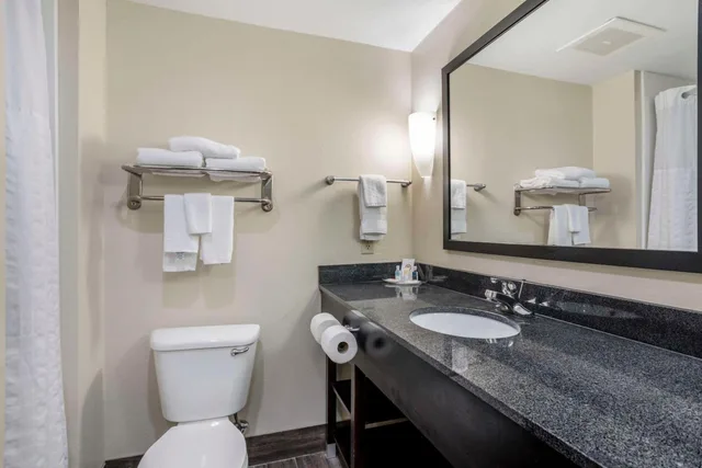 Room, King Bed, with View, Comfort Suites Knoxville East 2/3