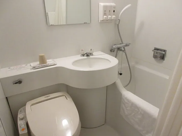 Standard, Twin Beds, Osaka Fujiya Hotel 3/3