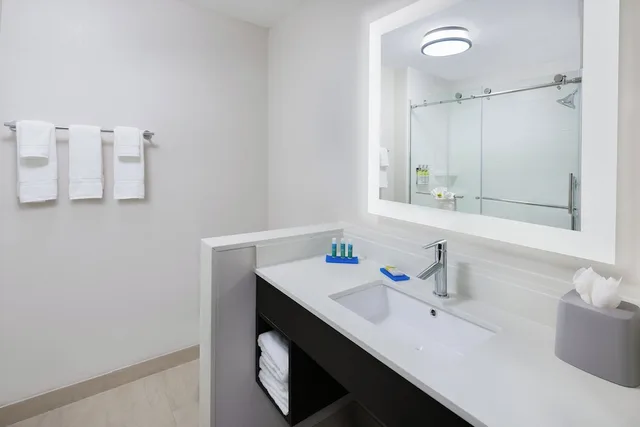 غرفة قياسية بسرير كينج، Holiday Inn Express & Suites Sugar Land SE - Missouri City 5/5