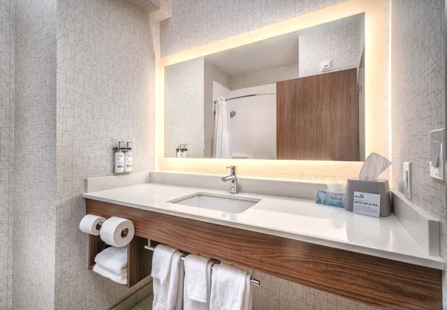 غرفة قياسية بسرير فردي، Holiday Inn Express And Suites Brandon 5/5