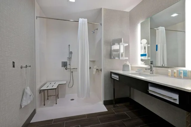 جناح بسرير كينج مع أريكة لذوي الإعاقة، Hampton Inn and Suites Houston East Beltway 8 1/1