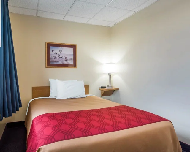 Senior, Queen Bed، Econo Lodge Manchester, NH 2/4