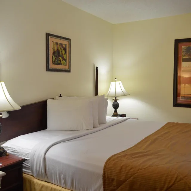 غرفة قياسية بسرير كينج، Opal Hotel and Suites 3/6