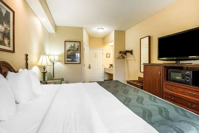Room, King Bed, Quality Inn Newnan - Atlanta South 1/6