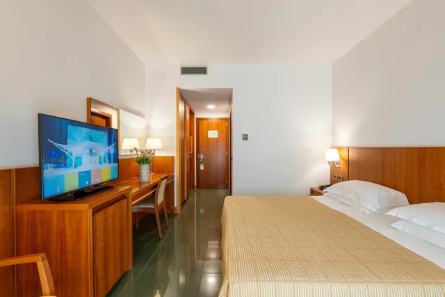 غرفة سوبيريور مفردة بسرير مزدوج، Hotel Dei Principati 1/8
