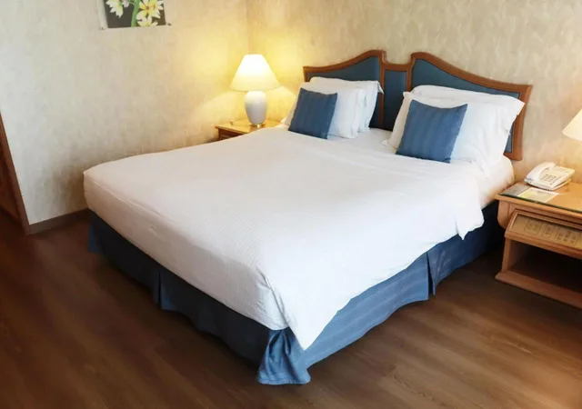 غرفة ديلوكس بسرير كوين، Grand Palace Hotel 1/3