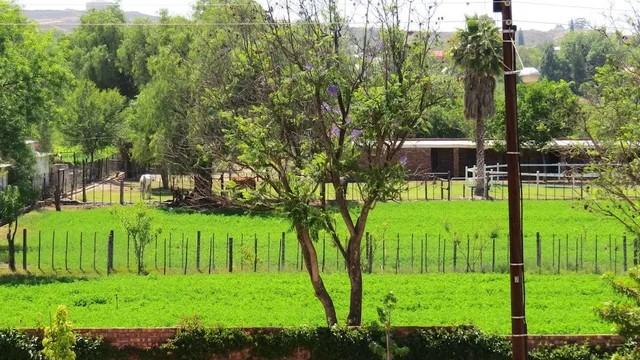 21 Klein Karoo Street، Oudtshoorn 22/35