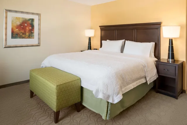 استوديو بسرير كينج بمطبخ صغير، Hampton Inn & Suites Corpus Christi 1/1