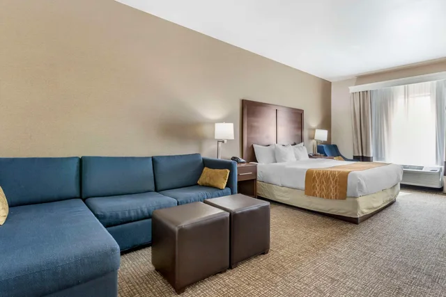جناح بسرير كينج لذوي الإعاقة، Comfort Inn & Suites Mitchell I-90 2/5