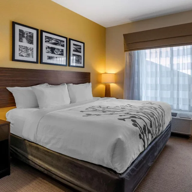 Standard, King Bed, Accessible, Sleep Inn & Suites Miles City I-94 1/4