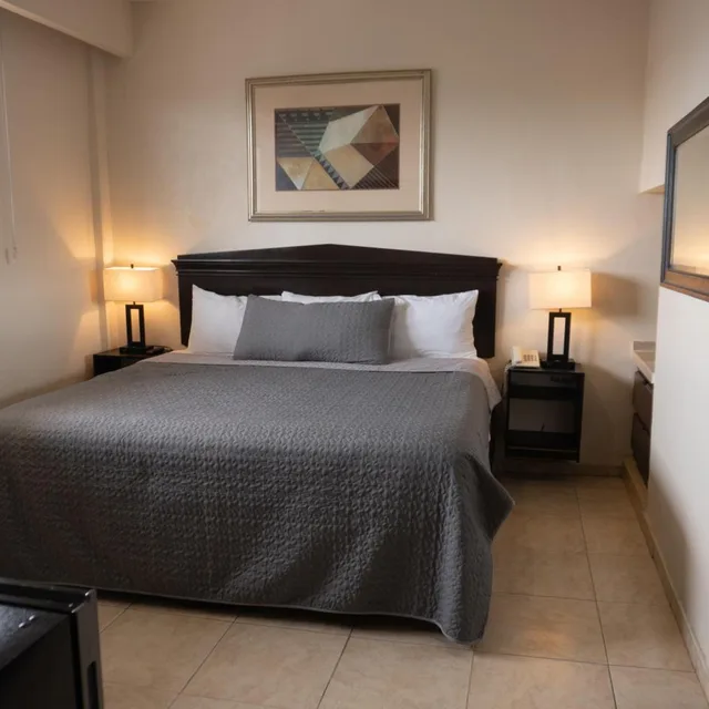 غرفة بسرير كينج، Hotel America Centro 3/10