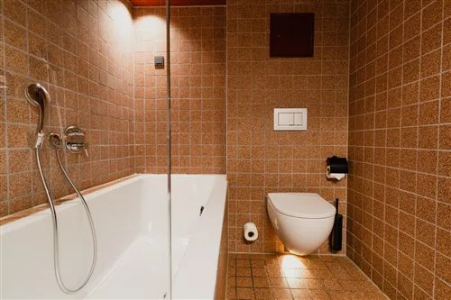 غرفة قياسية، Hotel van de Vijsel 1/1