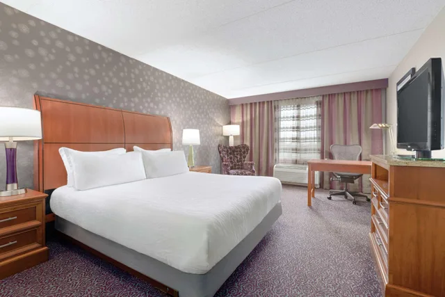 جناح بسرير كينج بغرفة نوم واحدة مع أريكة، Hilton Garden Inn-Springfield Ma 1/2