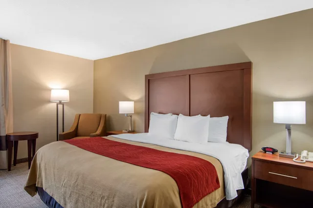 غرفة بسرير كينج لذوي الإعاقة، Comfort Inn Chester - Richmond South 3/10