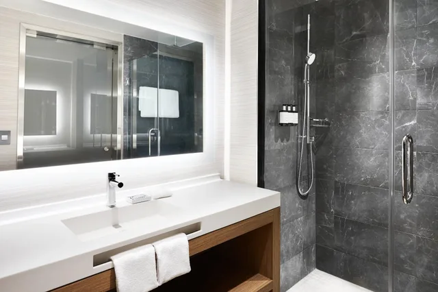 غرفة بسريرين مزدوجين لذوي الإعاقة، Ac Hotel By Marriott Houston Downtown 3/3