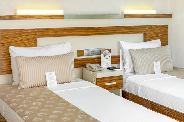 غرفة تنفيذية بسرير مزدوج وسرير فردي، Oglakcioglu Park Boutique Hotel 2/5