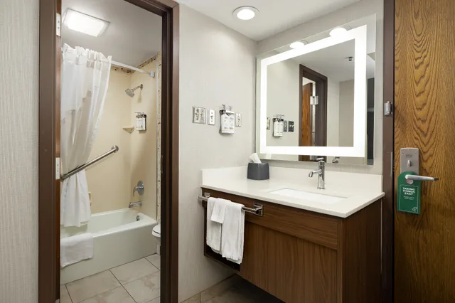 Atrium, Standard, King Bed، Holiday Inn McAllen – Medical Center Area 4/4