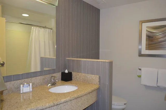 غرفة تنفيذية بسريرين كوين لذوي الإعاقة، Courtyard by Marriott Winchester Medical Center 2/2