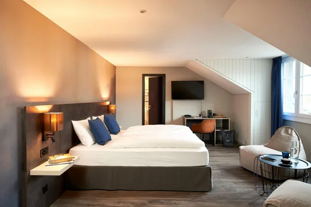 غرفة قياسية، THE HEY HOTEL INTERLAKEN 1/1