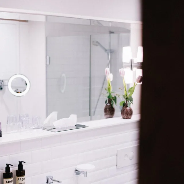 غرفة سوبيريور بسرير كينج، Arthotel Blaue Gans 7/7