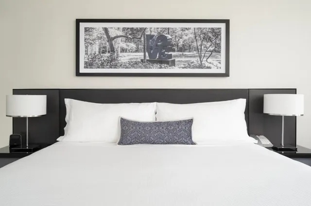 Skyline, Luxury, Suite, King Bed, Queen Bed, Sofa، Loews Philadelphia 1/2