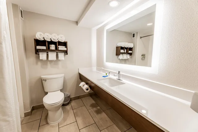 Xtra Space, Standard, King Bed، Holiday Inn Express Indianapolis South 10/10