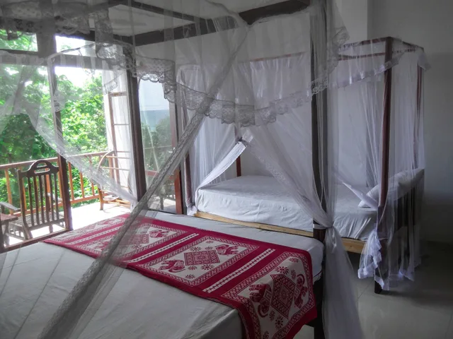 Superior, King Bed, Ocean Front, Sea View، Flora And Fauna 2/4