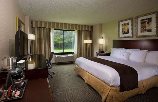 غرفة قياسية بسرير كينج، Doubletree By Hilton Charlotte Airport Hotel 1/5