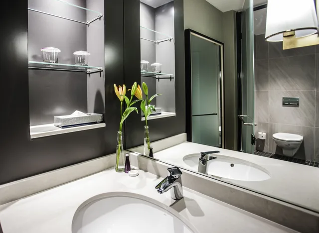 Avani Room، Avani Gaborone Resort and Casino 10/10